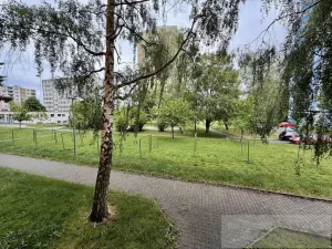 Prodej bytu 1+kk, Plzeň, Luďka Pika, 21 m2
