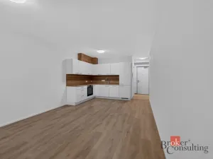Pronájem bytu 2+kk, Plzeň - Východní Předměstí, 55 m2