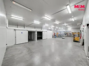 Pronájem skladu, Baška - Kunčičky u Bašky, 1300 m2