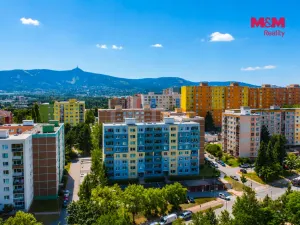 Prodej bytu 1+1, Liberec, Haškova, 39 m2