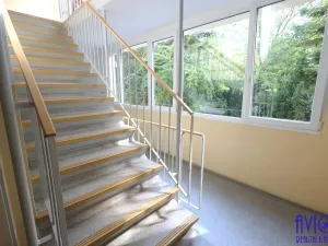 Prodej bytu 2+kk, Praha - Radlice, Tetínská, 46 m2