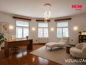 Pronájem kanceláře, Hradec Králové, Šafaříkova, 53 m2
