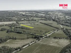 Prodej louky, Nové Mitrovice, 11703 m2