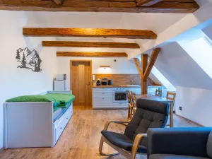 Pronájem bytu 1+kk, Staré Buky - Prostřední Staré Buky, 35 m2