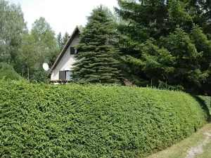 Prodej chaty, Hnačov, 100 m2