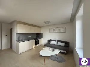 Prodej bytu 1+kk, Horní Planá, Palackého, 25 m2