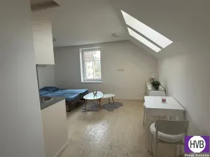 Prodej bytu 1+kk, Horní Planá, Palackého, 25 m2