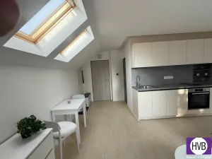 Prodej bytu 1+kk, Horní Planá, Palackého, 25 m2