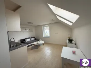 Prodej bytu 1+kk, Horní Planá, Palackého, 24 m2