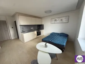 Prodej bytu 1+kk, Horní Planá, Palackého, 24 m2