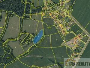 Prodej louky, Soběšice - Damíč, 22383 m2