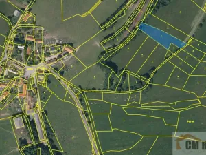 Prodej louky, Soběšice - Damíč, 22383 m2