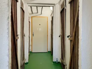 Prodej bytu 2+1, Ostrava - Moravská Ostrava, Mariánskohorská, 60 m2
