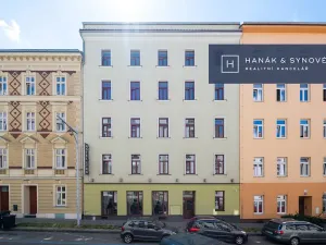 Pronájem bytu 1+1, Brno, Anenská, 43 m2