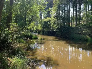 Prodej chalupy, Střelice, 89 m2