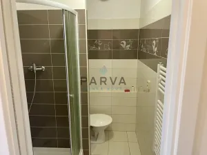 Pronájem bytu 1+1, Plzeň - Doudlevce, Luďka Pika, 36 m2
