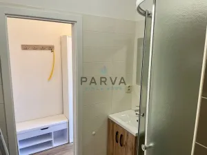 Pronájem bytu 1+1, Plzeň - Doudlevce, Luďka Pika, 36 m2