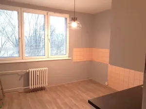 Pronájem bytu 1+1, Ostrava - Moravská Ostrava, Lechowiczova, 35 m2