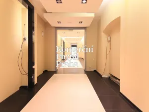 Pronájem restaurace, Praha - Nové Město, Václavské náměstí, 309 m2