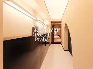 Pronájem obchodního prostoru, Praha - Nové Město, Václavské náměstí, 309 m2