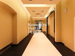 Pronájem obchodního prostoru, Praha - Nové Město, Václavské náměstí, 309 m2