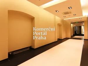 Pronájem obchodního prostoru, Praha - Nové Město, Václavské náměstí, 309 m2