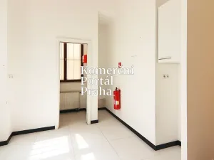 Pronájem obchodního prostoru, Praha - Nové Město, Václavské náměstí, 309 m2