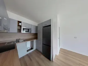 Pronájem bytu 2+kk, Brno, Příční, 54 m2