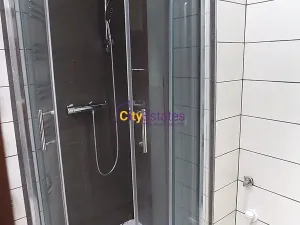 Pronájem bytu 1+kk, Praha - Žižkov, Vlkova, 26 m2