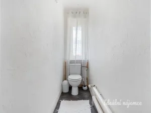 Pronájem bytu 3+1, Praha - Žižkov, Baranova, 89 m2