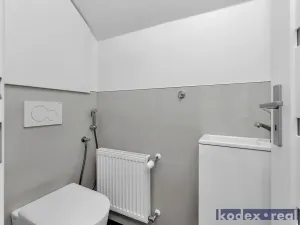 Prodej rodinného domu, Praskačka, 179 m2