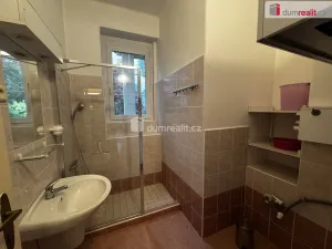Pronájem rodinného domu, Pardubice - Bílé Předměstí, Na Okrouhlíku, 290 m2