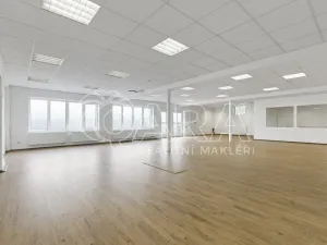 Pronájem obchodního prostoru, Nový Jičín, Riegrova, 149 m2