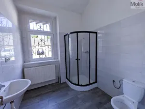 Pronájem bytu 1+1, Lom, Litvínovská, 42 m2