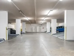 Pronájem bytu 6+kk a větší, Praha - Vinohrady, Chopinova, 204 m2