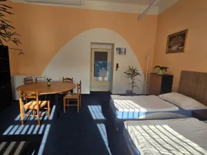 Pronájem pokoje, Plzeň, Klatovská třída, 15 m2