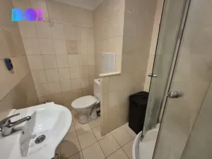 Pronájem bytu 1+kk, Prostějov, sídl. E. Beneše, 26 m2
