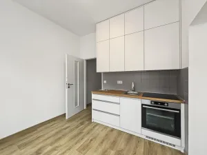 Pronájem bytu 1+1, Krnov - Pod Cvilínem, Svatováclavská, 40 m2