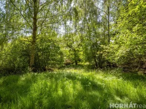 Prodej chalupy, Doksy - Žďár, 180 m2