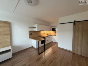 Pronájem bytu 2+kk, Most, Františka Malíka, 40 m2