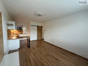 Pronájem bytu 2+kk, Most, Františka Malíka, 40 m2