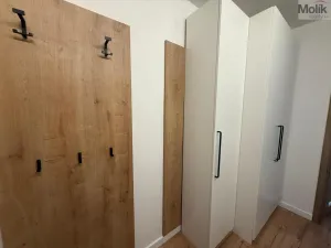 Pronájem bytu 2+kk, Most, Františka Malíka, 40 m2