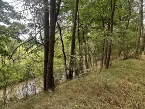 Prodej pole, Kaplice - Blansko, 27326 m2