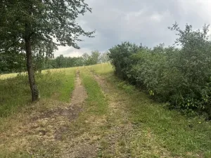 Prodej pole, Kaplice - Blansko, 27326 m2