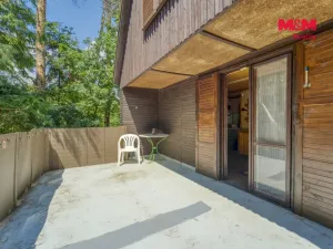 Prodej chaty, Česká Bříza, 32 m2