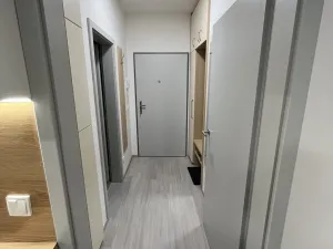 Pronájem bytu 1+kk, Olomouc, Wolkerova, 29 m2