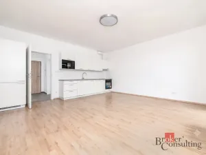 Prodej bytu 1+kk, Plzeň - Jižní Předměstí, Železná, 42 m2