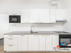 Prodej bytu 1+kk, Plzeň - Jižní Předměstí, Železná, 42 m2