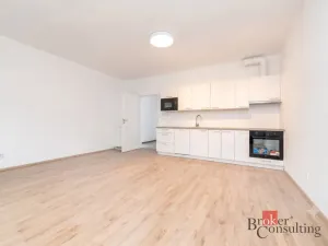 Prodej bytu 1+kk, Plzeň - Jižní Předměstí, Železná, 42 m2