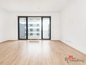 Prodej bytu 1+kk, Plzeň - Jižní Předměstí, Železná, 42 m2